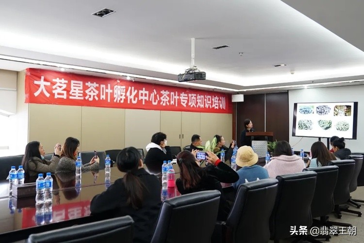 国茶港大茗星,国茶港冰岛茶叶直播