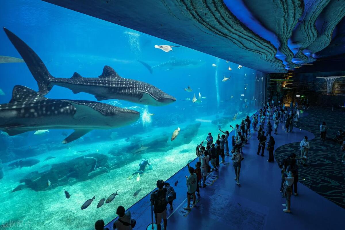 珠海长隆游玩攻略和费用,珠海长隆海洋王国乐园套票是什么