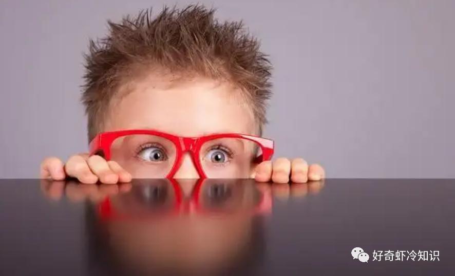 鱼类能发出声音?小朋友你是否有很多问好?飞在汽车里的苍蝇问题