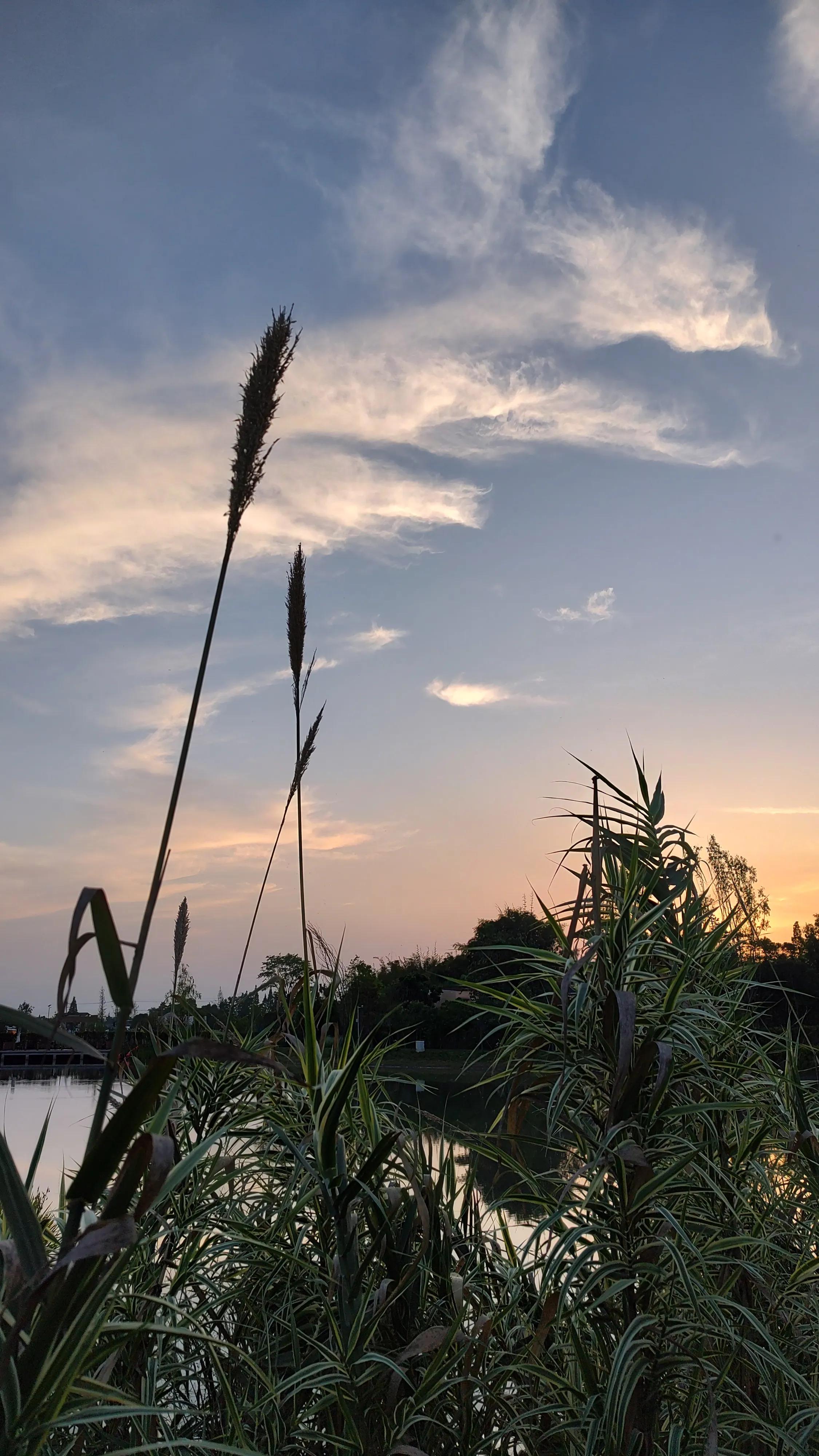 新都斑竹园音乐小镇民宿,斑竹园音乐小镇攻略