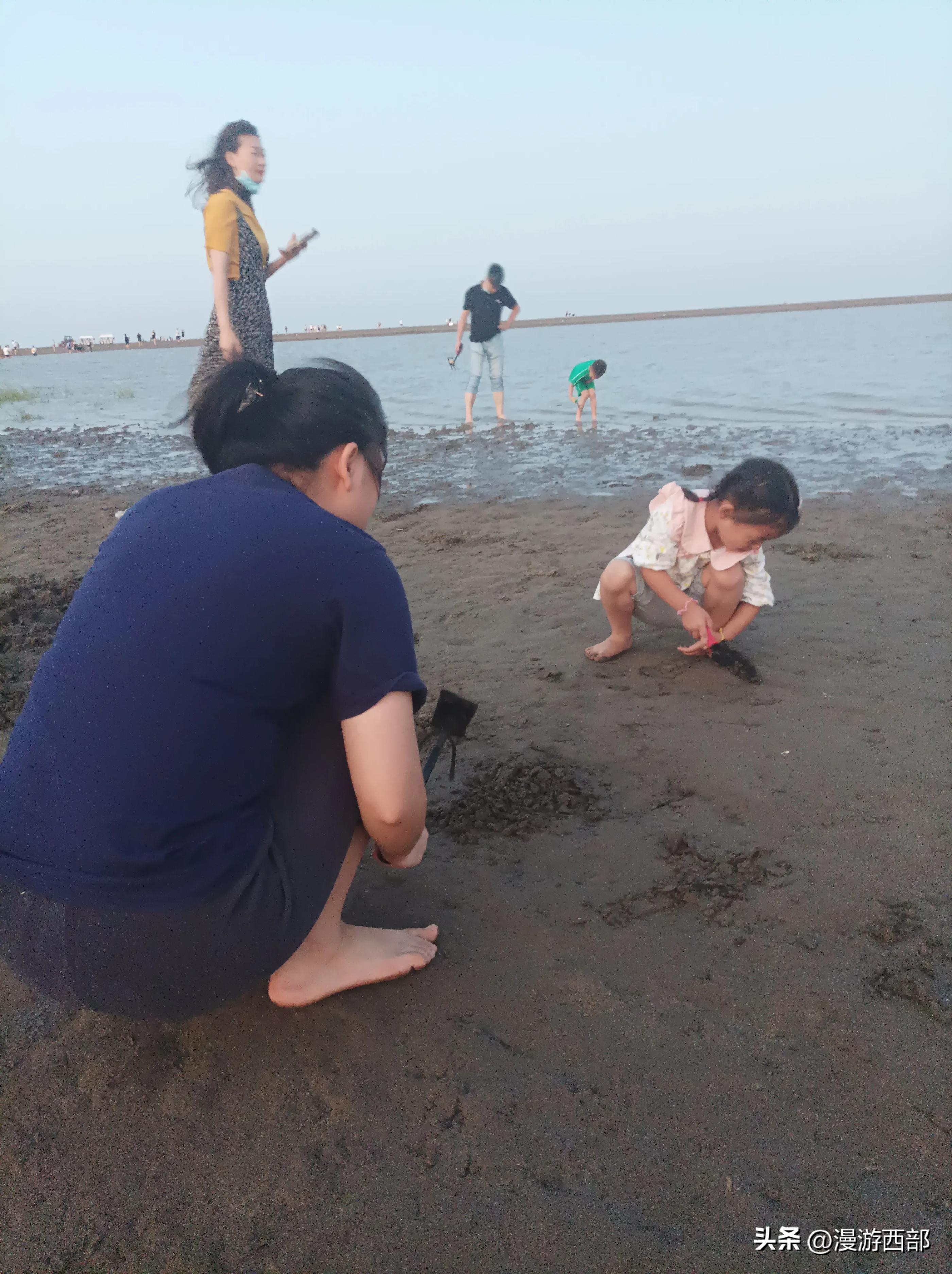 上海踏青一日游推荐,五一上海周边春游攻略