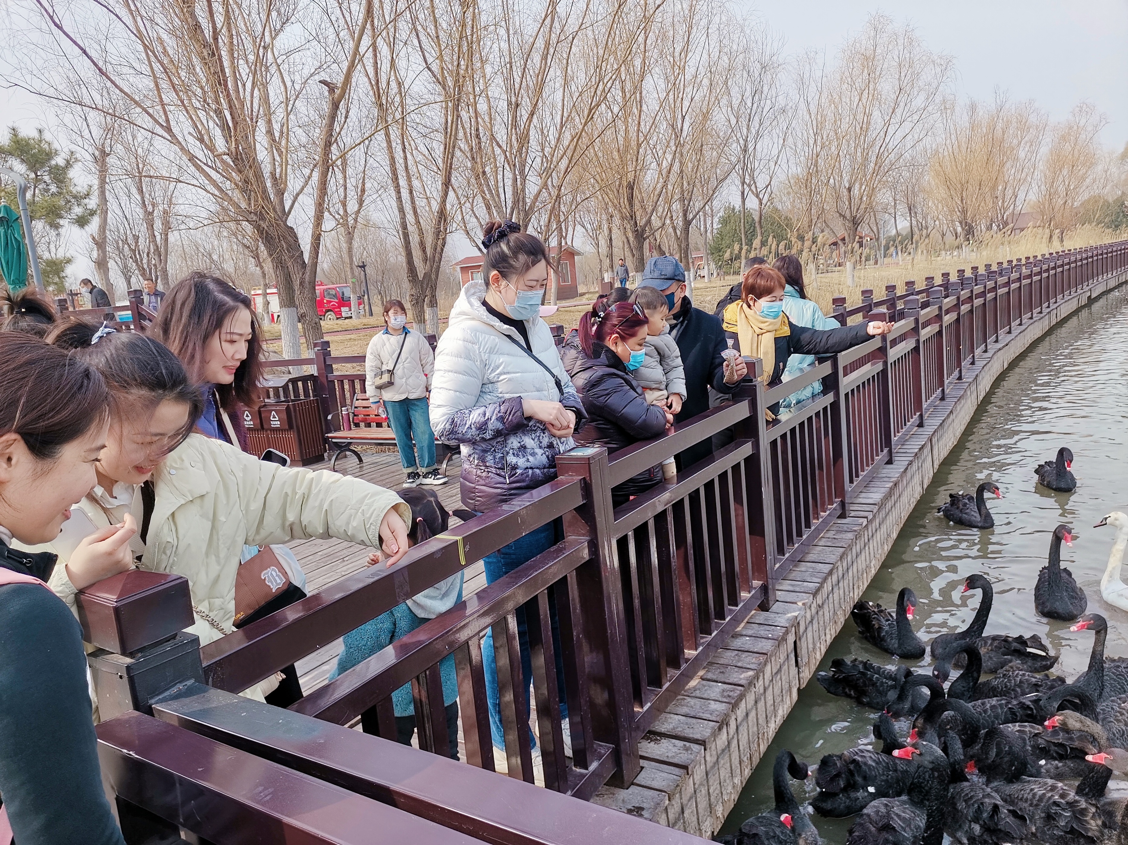 “采撷*光春**，风采飞扬”齐鲁鞋城2023年女神节生态采摘活动