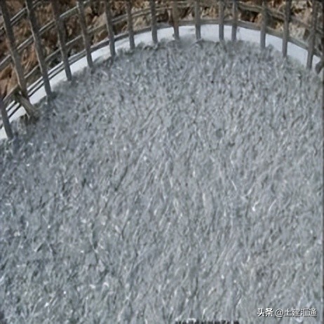 灌注桩施工过程中应检查哪些内容,灌注桩的施工相关规范及标准