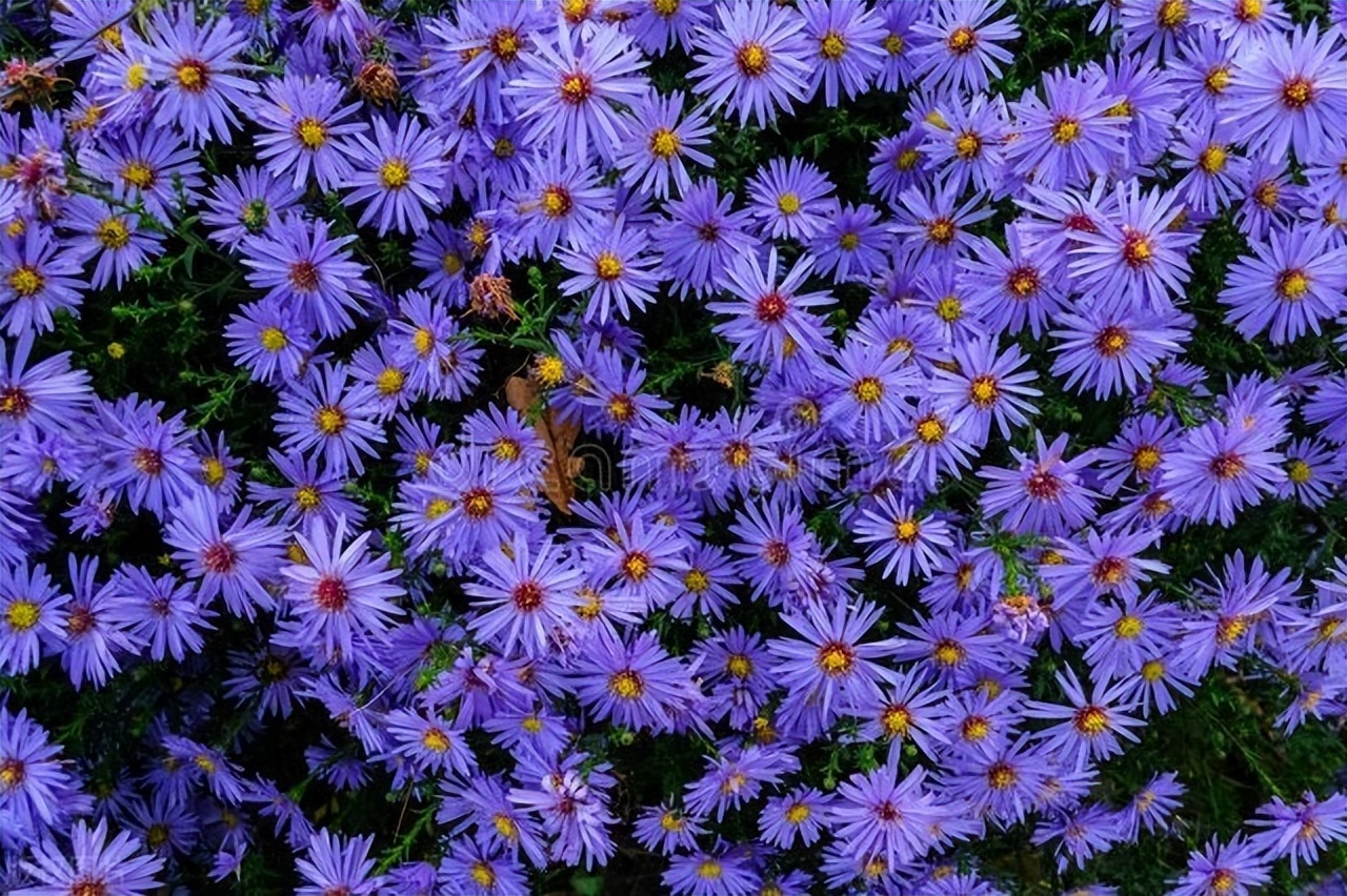 疼痛加盟店,仁和疼痛调理馆加盟靠谱吗