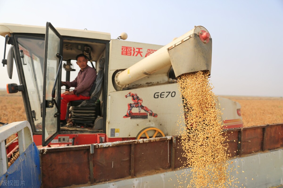 12月15日全国最新大豆价格行情,全国各地大豆价格最新行情