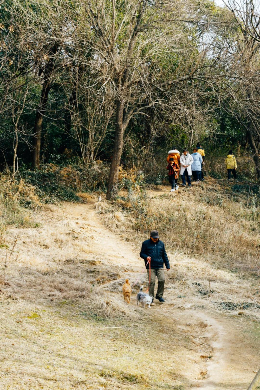 *京大南**厂不是大厂，但大厂是真的大