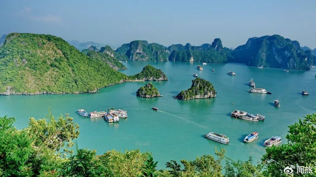 迷失完整直播,迷失直播