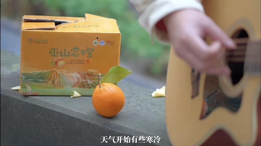 地理标志产品品牌推广,解读地理标志产品该如何打造品牌