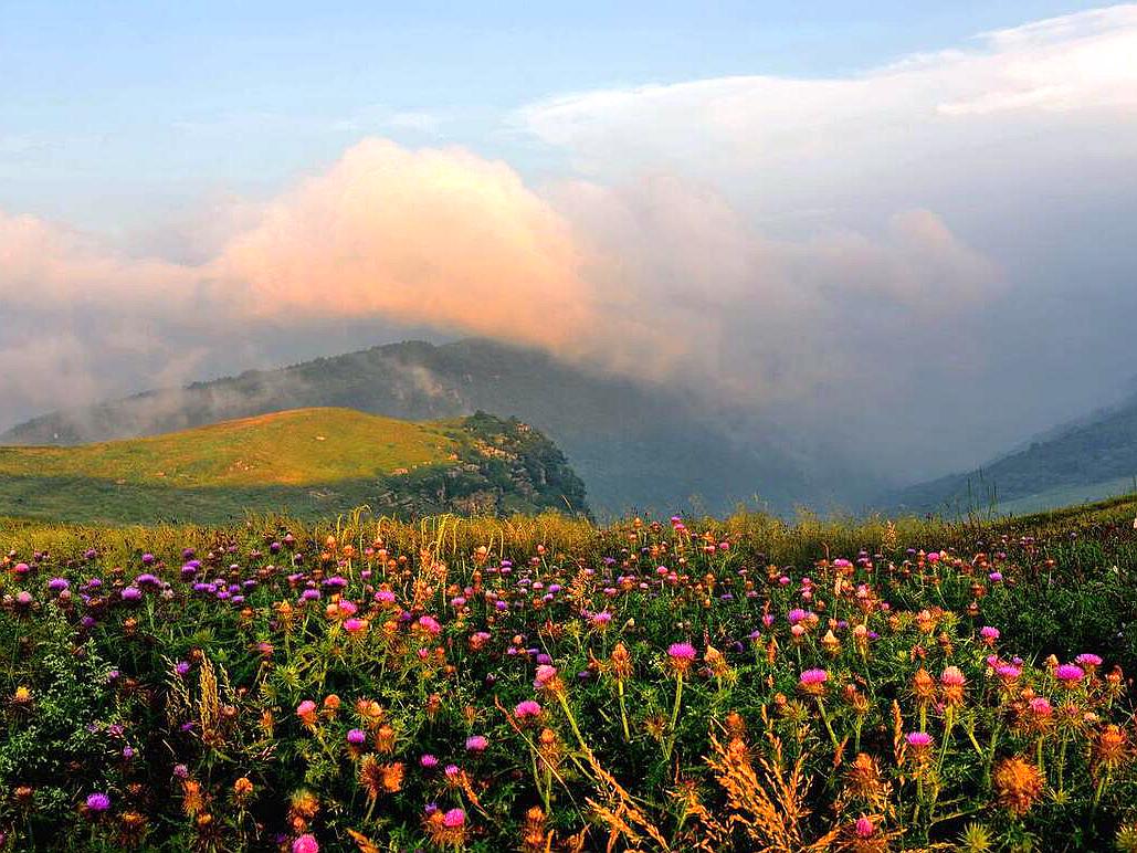 山西旅游攻略最全最佳线路五台山,山西五台山一日旅游景点推荐表