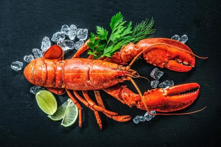 龙虾可以感受到痛吗,龙虾会痒死的吗