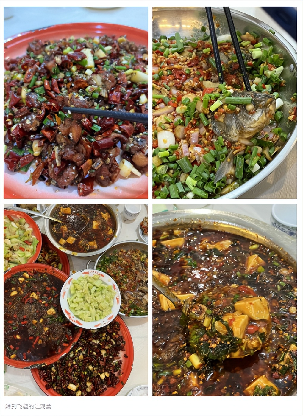 四川其他地方的人吃自贡菜,一个四川人吃四川菜