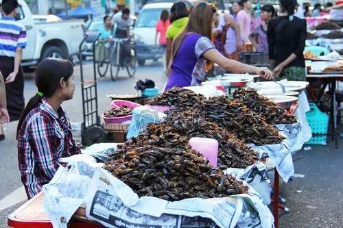 现在传统生意还能做吗,为什么传统生意不好做了