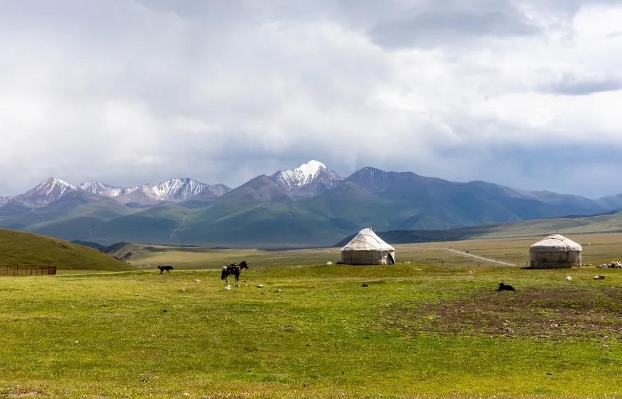 全新疆面积最大的县是哪个,我国面积最大与最小的省级行政区