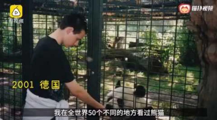 中国十大顶流女明星,顶流女明星穿越电视剧