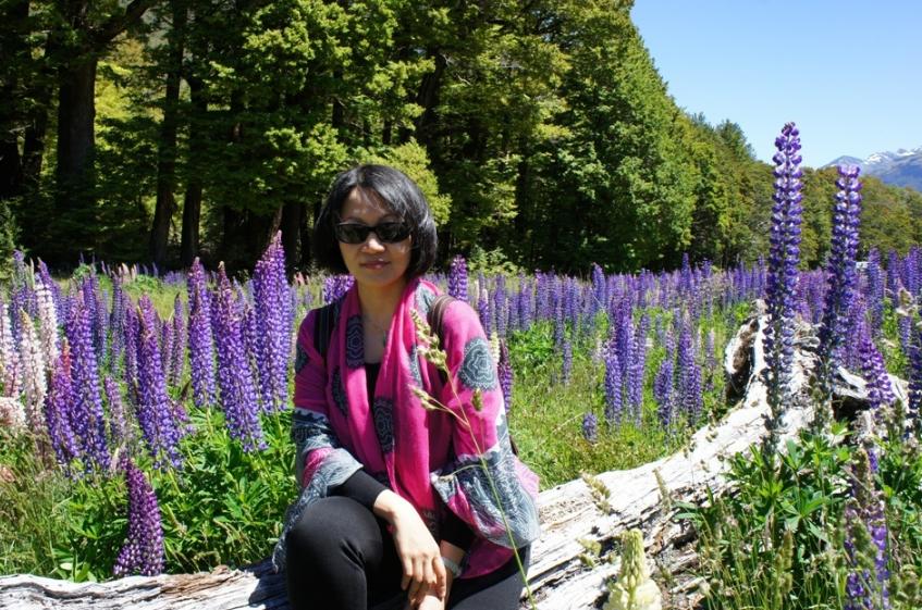 邱静今夜情为证背景音乐,邱静今夜情为证2019节目回放