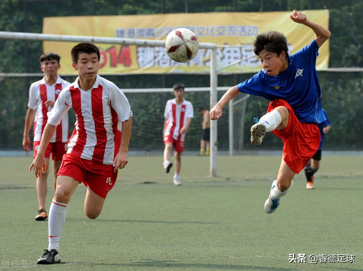 国足失利感想总结,国足十大看点分析