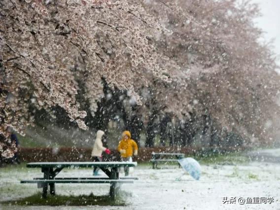 关于十月十五的谚语,农历十月谚语你知道多少呢