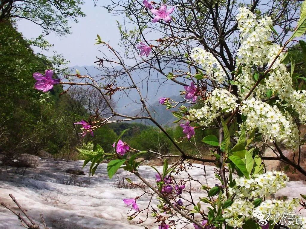 因为暴雨被淹的旅游景区,被暴雨破坏的景区