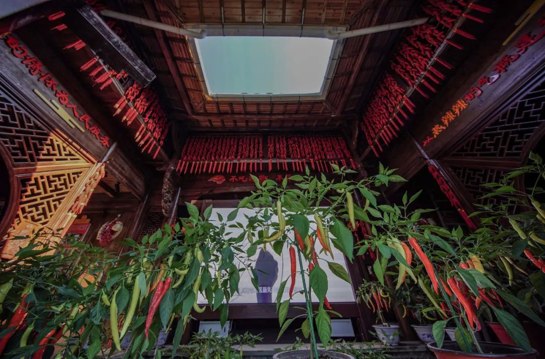 衢州人为什么吃那么辣,衢州人为什么爱吃鸭