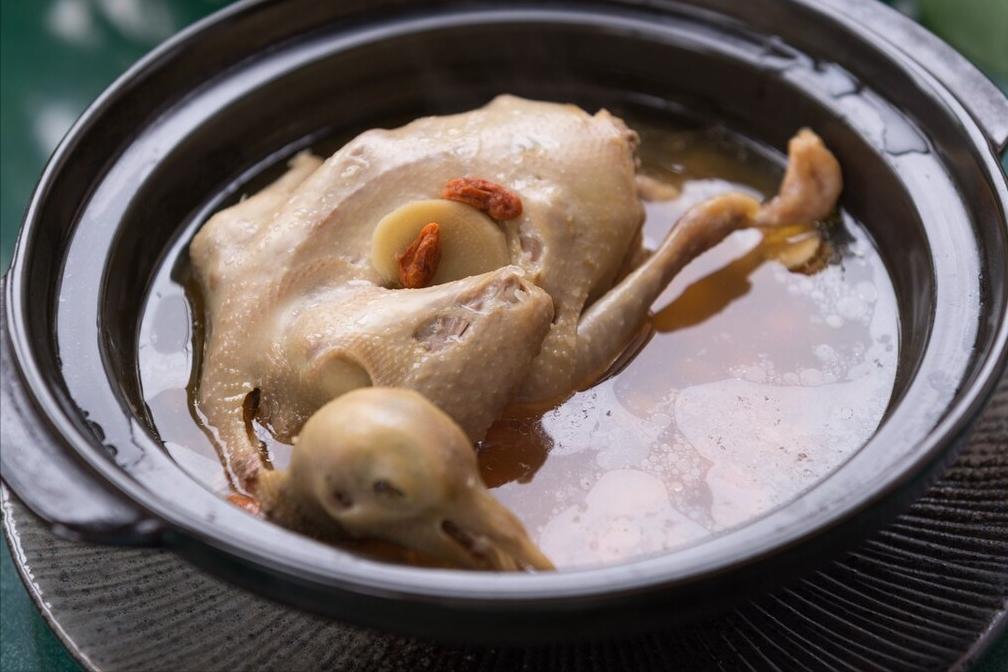 炖鸽子不要哪些部分,鸽子汤怎么炖才不腥不柴好喝呢