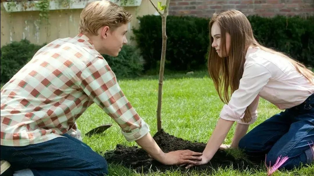 英专生必看电视剧,适合学英语的英语电影推荐