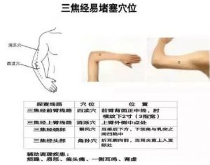 十二经络足阳明胃经穴位走向,胃部经络最易堵塞三个穴位