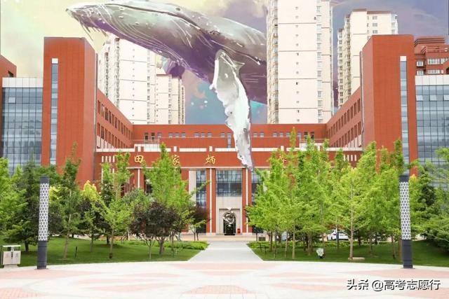 高考500分毕业可以挣多少钱,高考500分就业好学校