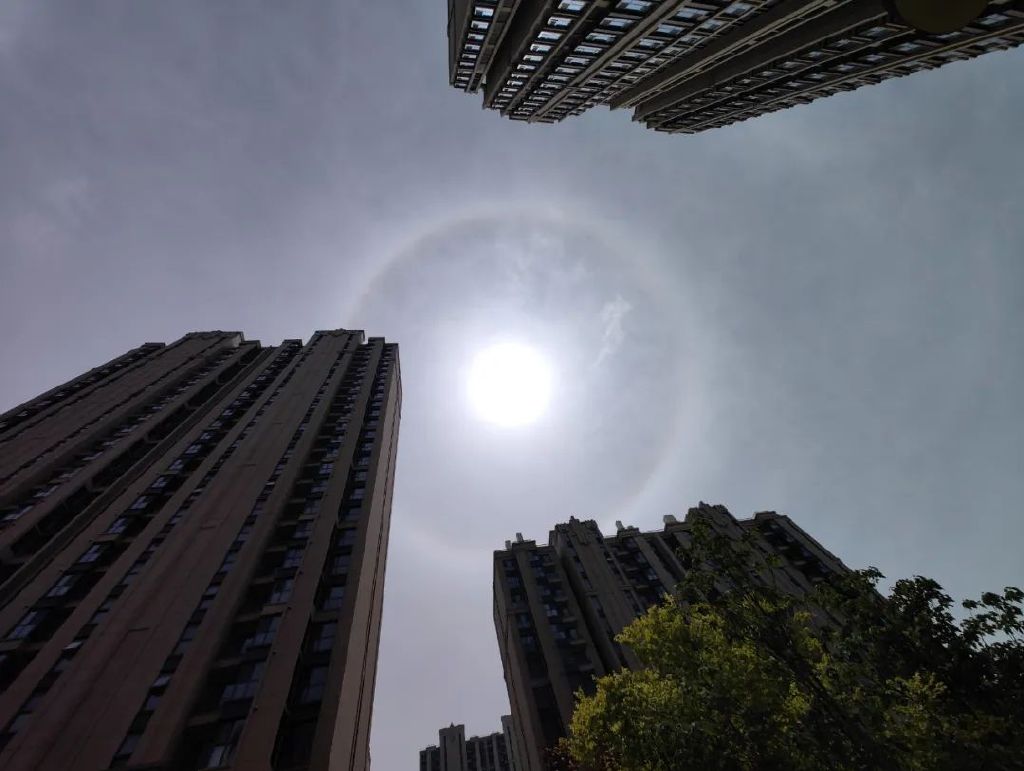 谁是影像机皇,谁才是手机机皇