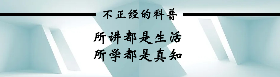 袋鼠整天一跳一跳的不伤膝盖吗,袋鼠一直跳