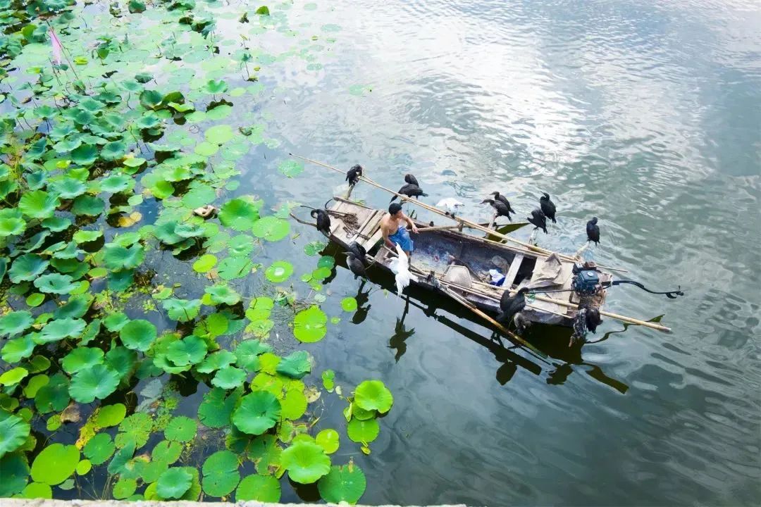 济宁五一假期玩什么,这个五一去哪玩济宁