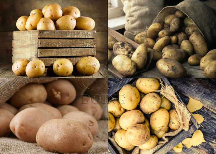 马铃薯淀粉商业使用前景,马铃薯淀粉加工行业市场前景