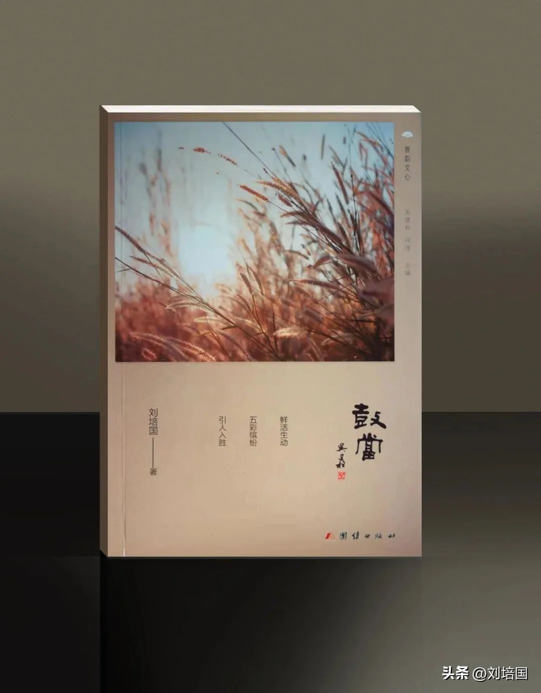 市花月季公园,市花月季