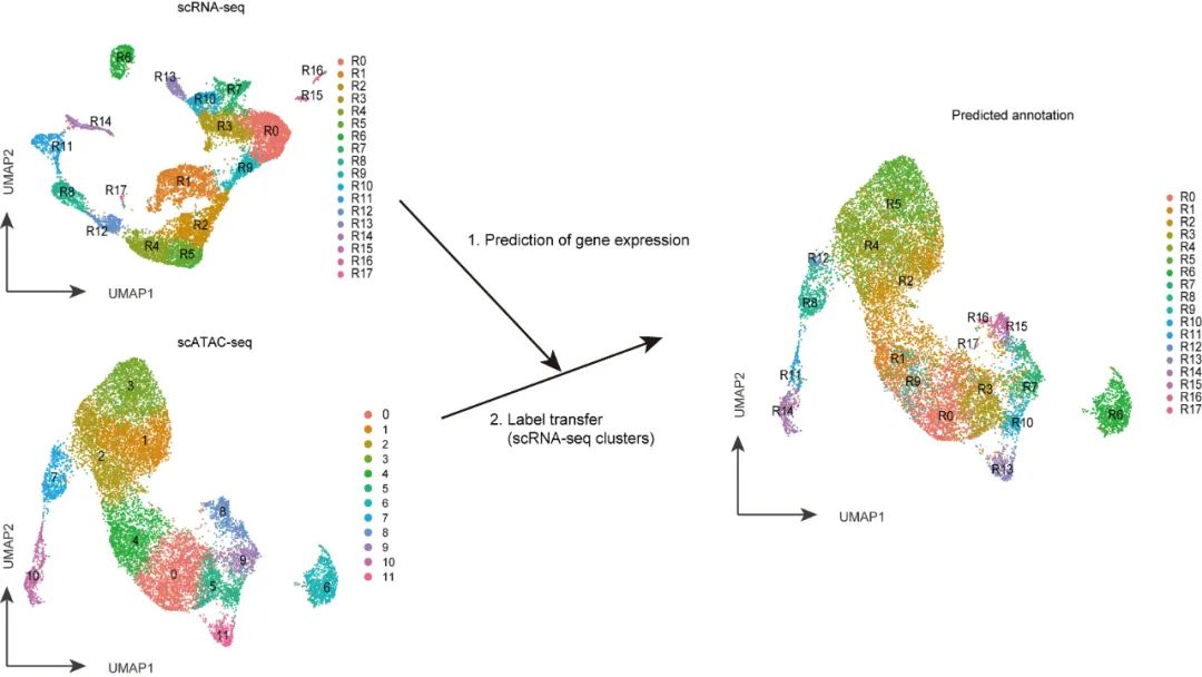 bio-protocol鎬庝箞鍙戣〃,bio-protocol鎺ㄤ粙