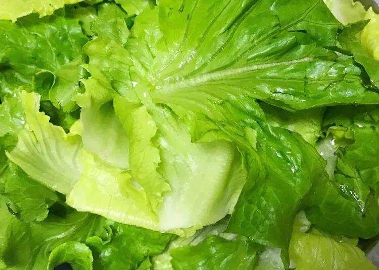 4种绿叶菜是补钙第一名,这5种绿叶菜比牛奶含钙量还高