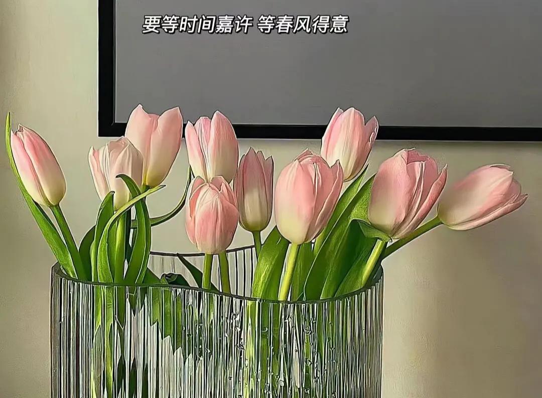 大学生创业被排挤的原因,大学生创业会被人瞧不起吗