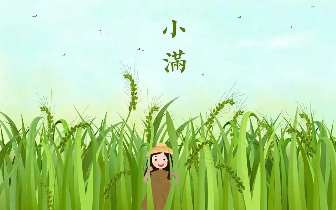 关于小满节气的古诗词赏析,小满节气古诗词欧阳修