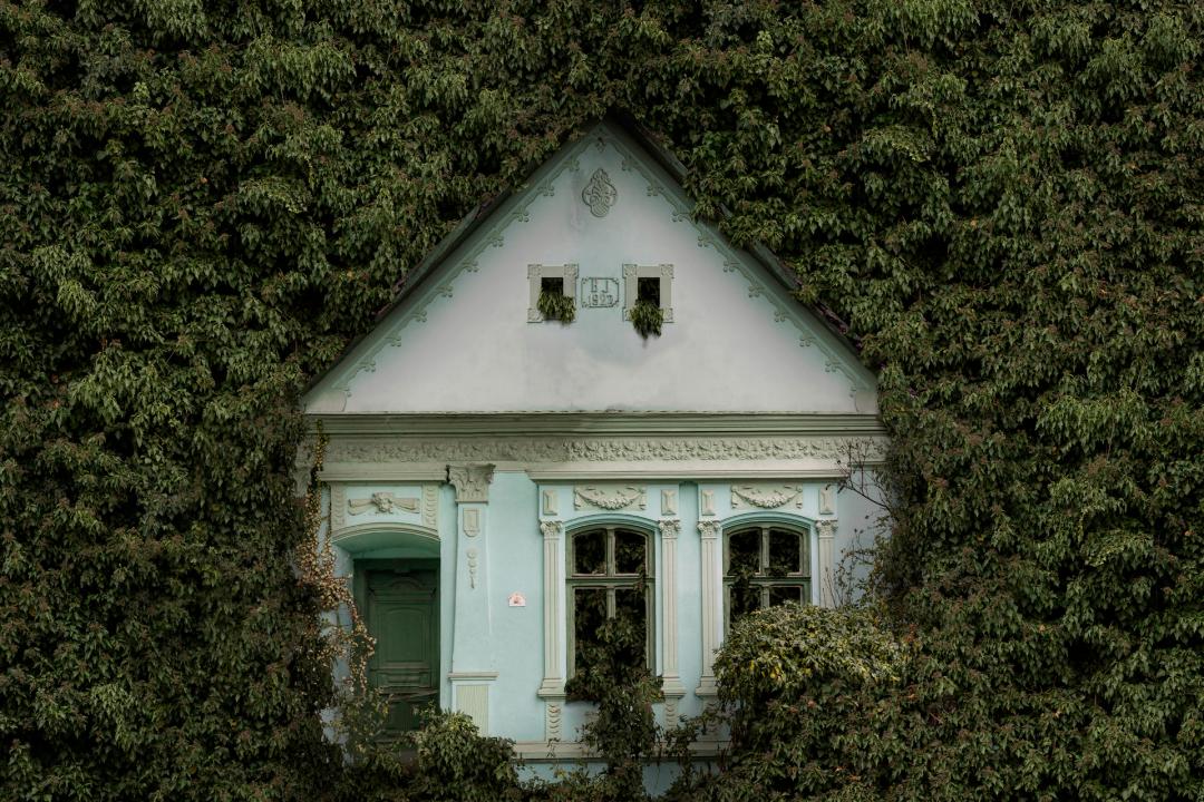 2022索尼摄影大赛征稿,2022索尼世界摄影大赛