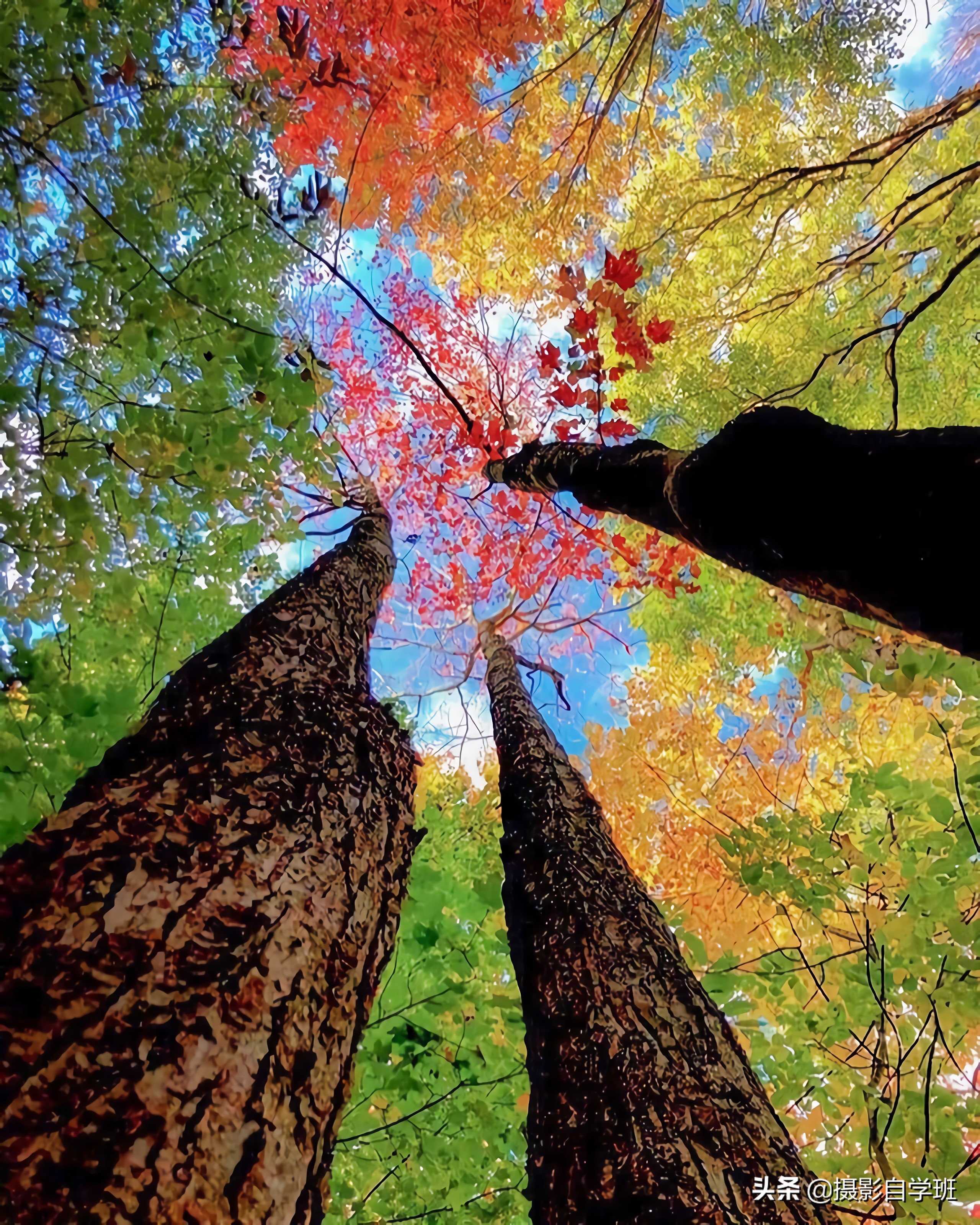 6个拍摄风景相片的重要技巧,风光摄影拍摄技巧图片