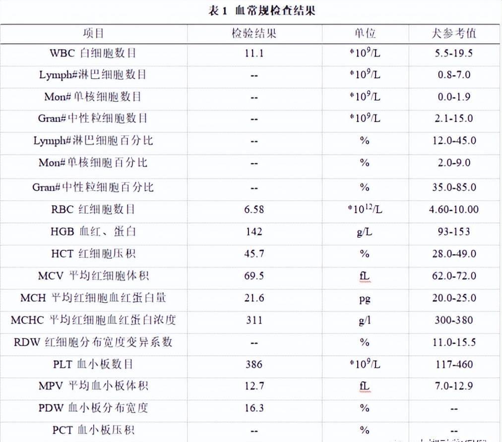 狗狗糖尿病造成四肢无力怎么办,11岁狗狗得了糖尿病能活多久
