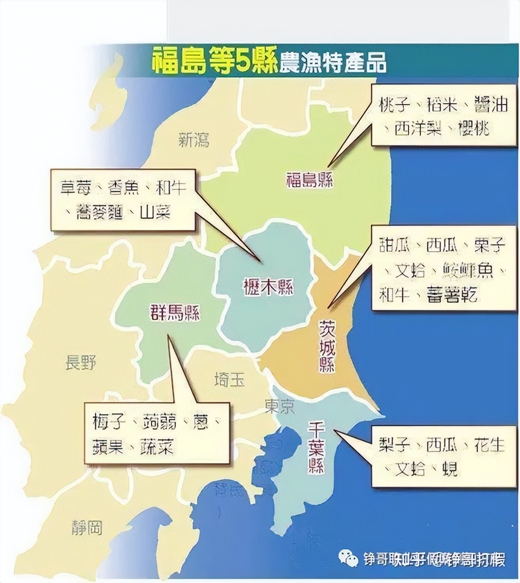 核辐射区食品怎么打假,核辐射地区食品打假被抓