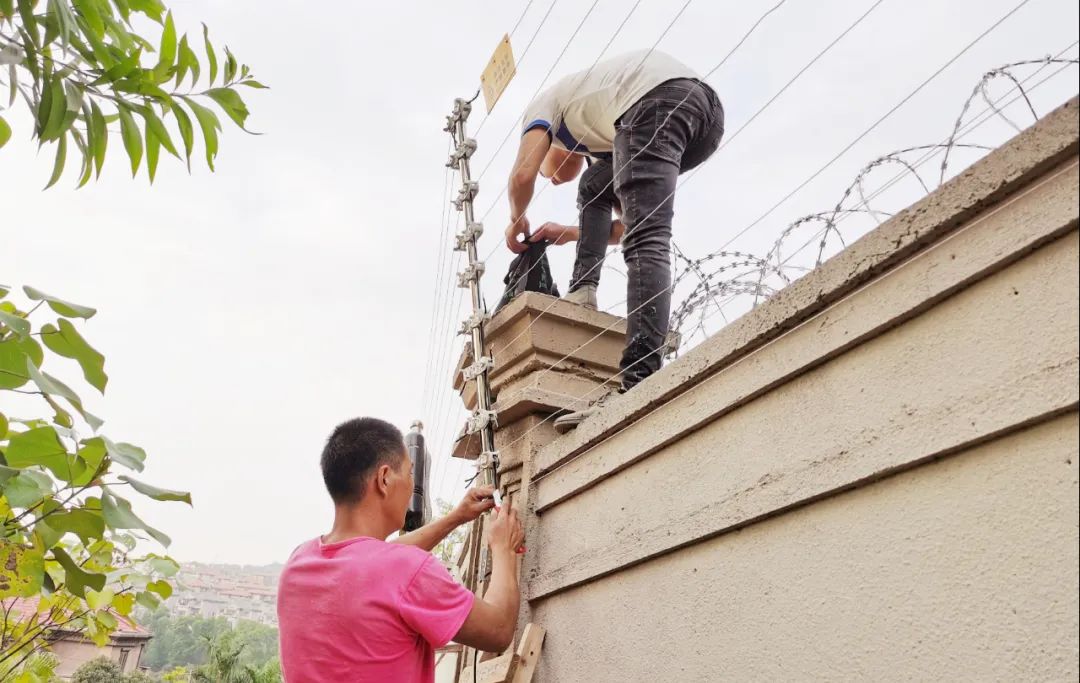 单仁资讯全网营销,单仁资讯视频
