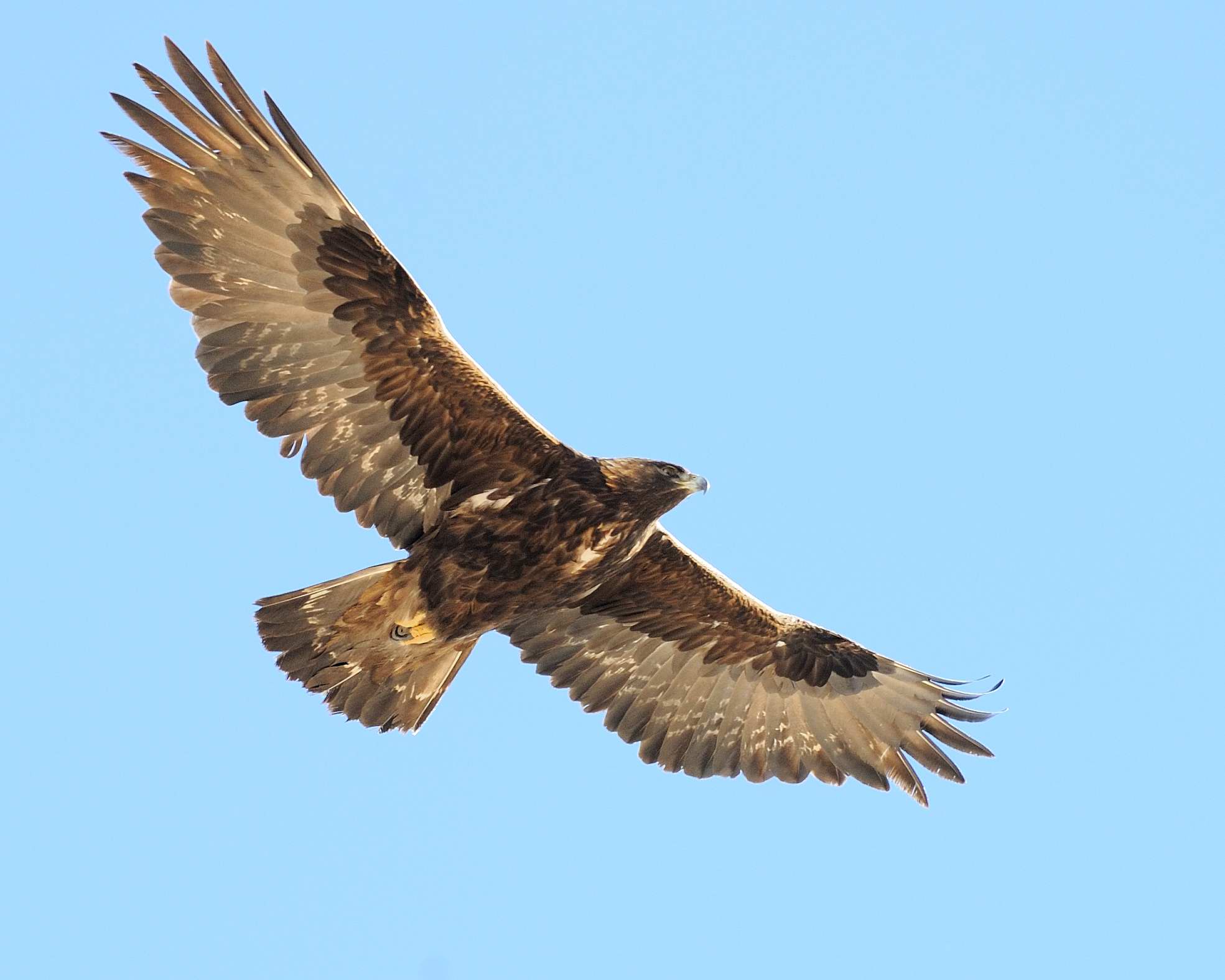你知道内蒙古为啥不包邮吗,新疆内蒙为什么不包邮