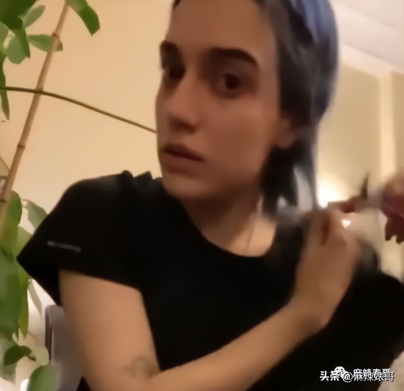 金晨模仿卡塔尔小王子晒照,金晨模仿卡塔尔王子被起诉了吗