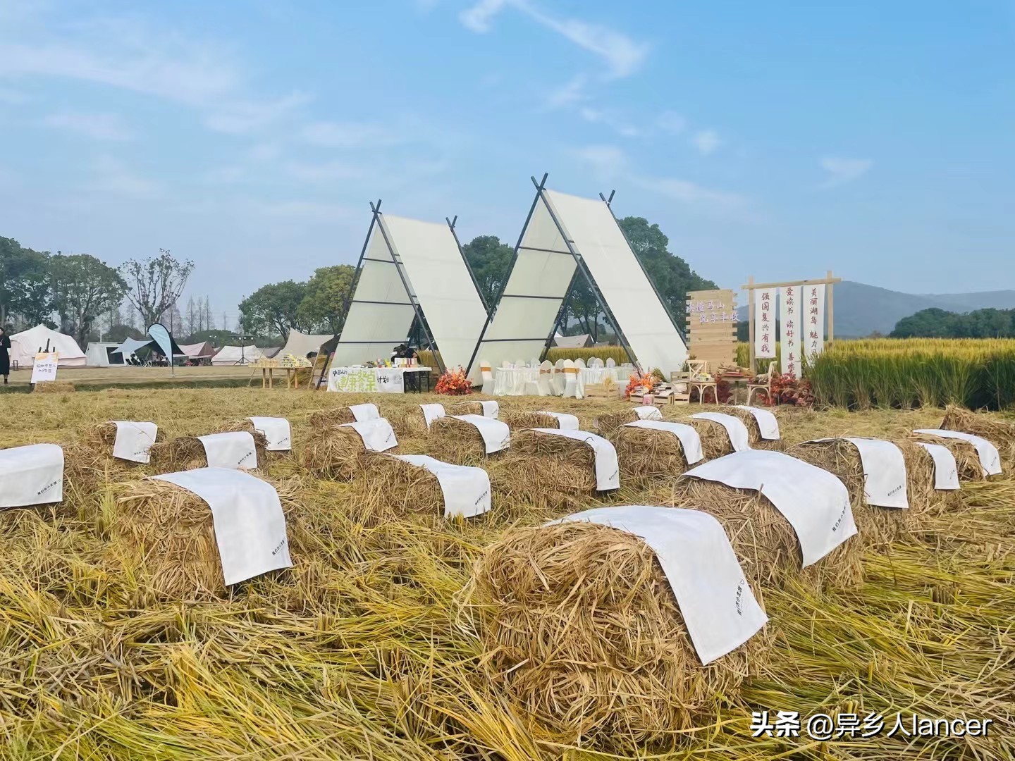 家庭农场：是否能成为乡村致富的新风口？