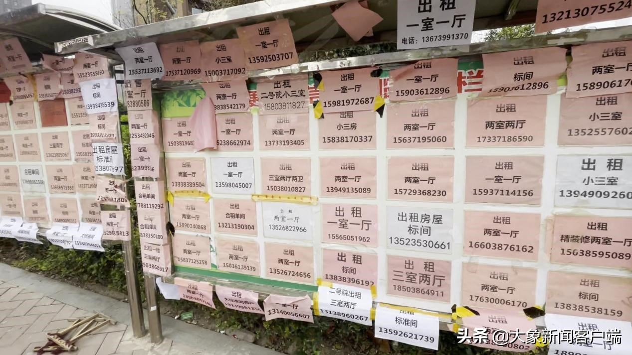 租房市场冷淡,郑州租房市场回暖了吗