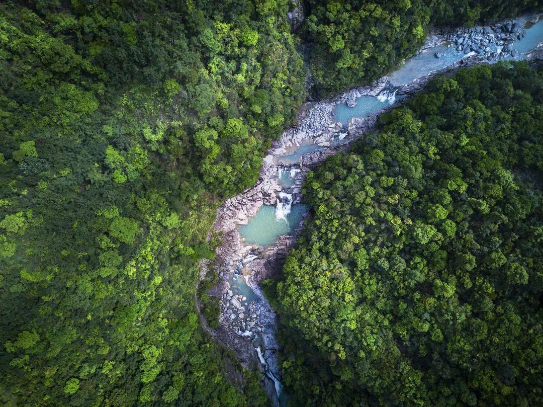 春节出游必看！温州这12条特色线路诚意满满，带你玩转虎年春节！
