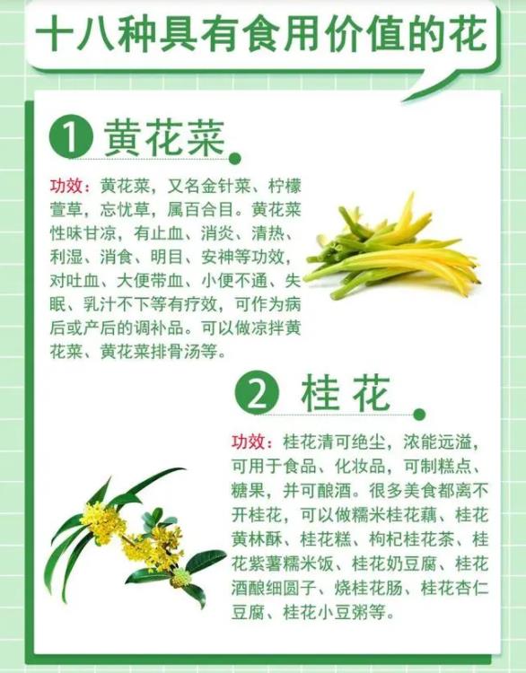 18种最漂亮的花草,18种必养的花