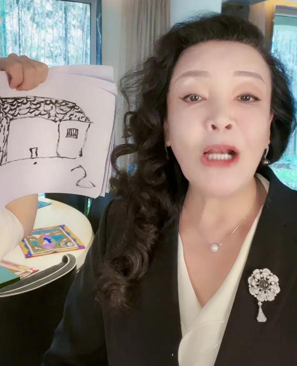 张兰爆料大s具俊晔插翅难逃,张兰大s具俊晔