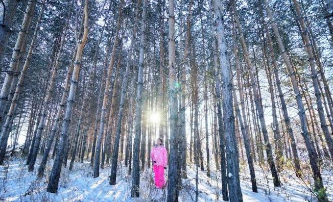 漠河旅游攻略2天一晚住宿交通,冬季到漠河一日游攻略图片高清