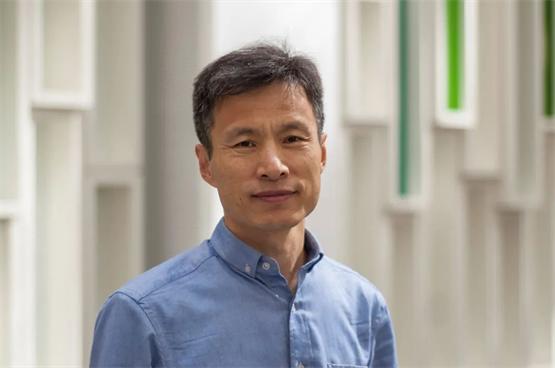 风物长宜放眼量原创,风物长宜放眼量读后感